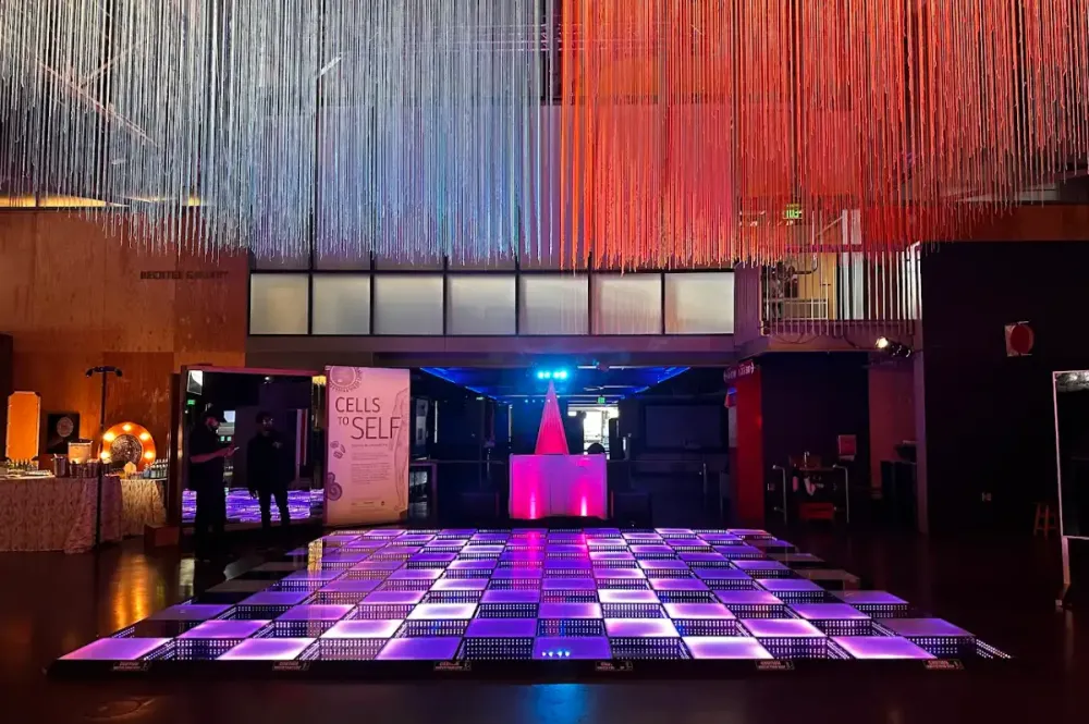 dj dance floor